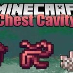 Mods Chest Cavity