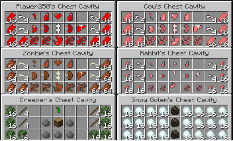 Tải Chest Cavity Mod Dành Cho Minecraft Java Edition