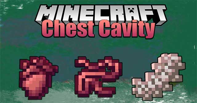 Tải Chest Cavity Mod Dành Cho Minecraft Java Edition