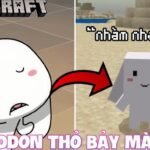 Addon Thỏ 7 màu