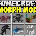 Addon Morph