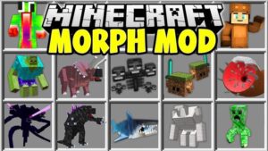Addon Morph