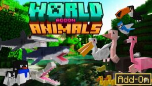 World Animals